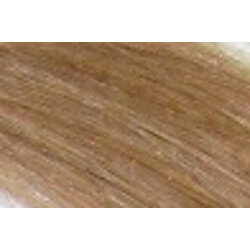 MC Asian Hair 14in Colour 14