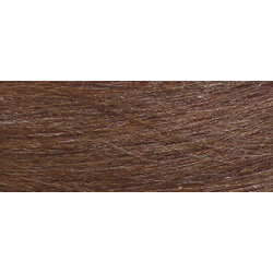 MC Asian Hair 14in Colour 6